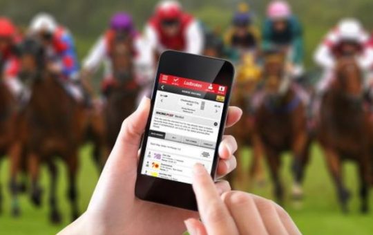 Betting on Horse Racing Online